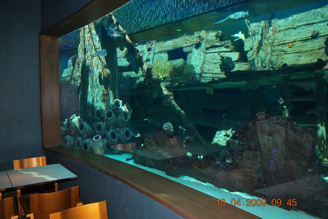 imagini hotel MARDAN PALACE